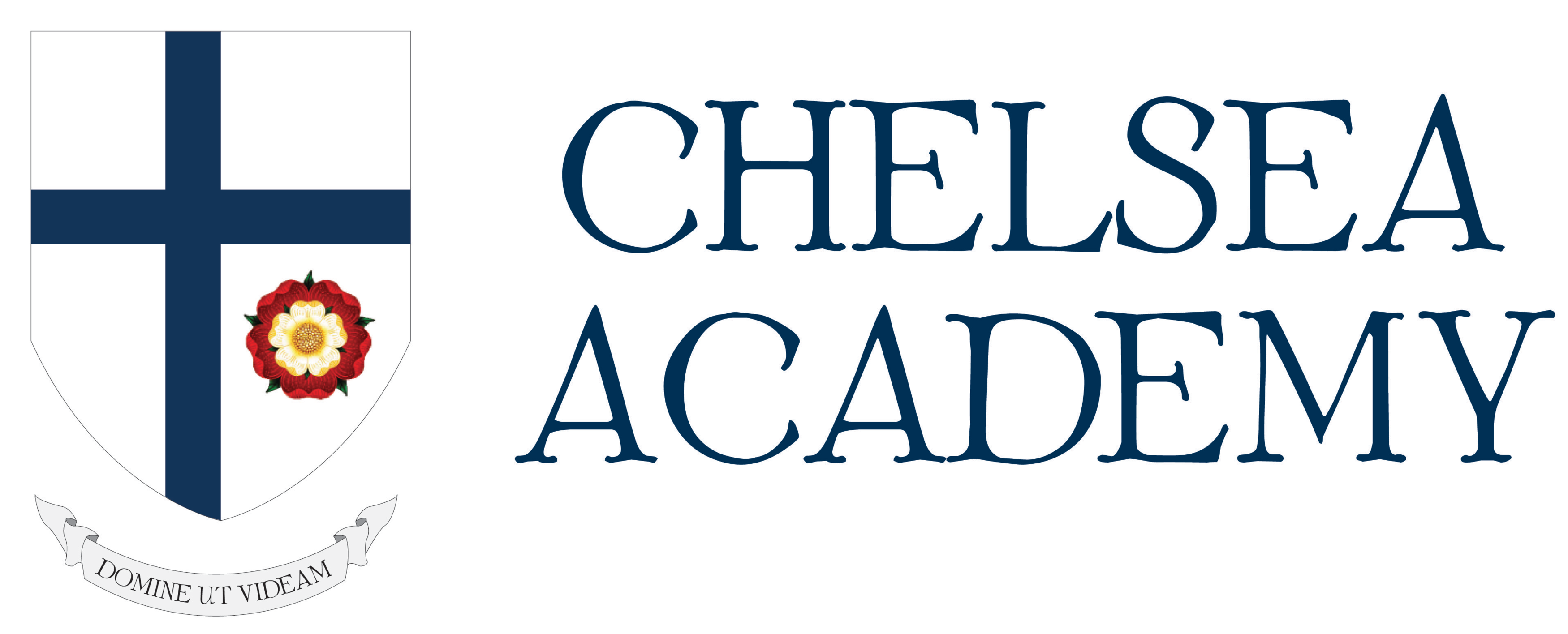 Logo for Chelsea Academy